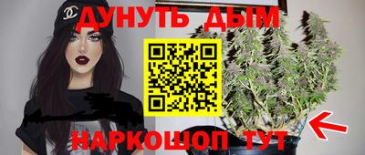 spice Иваново