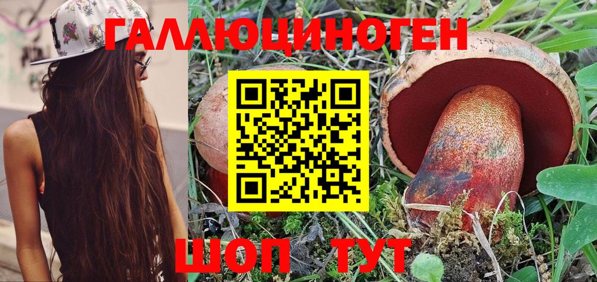 Чита  Галлюциногенные грибы ЛСД  Вход с VPN 